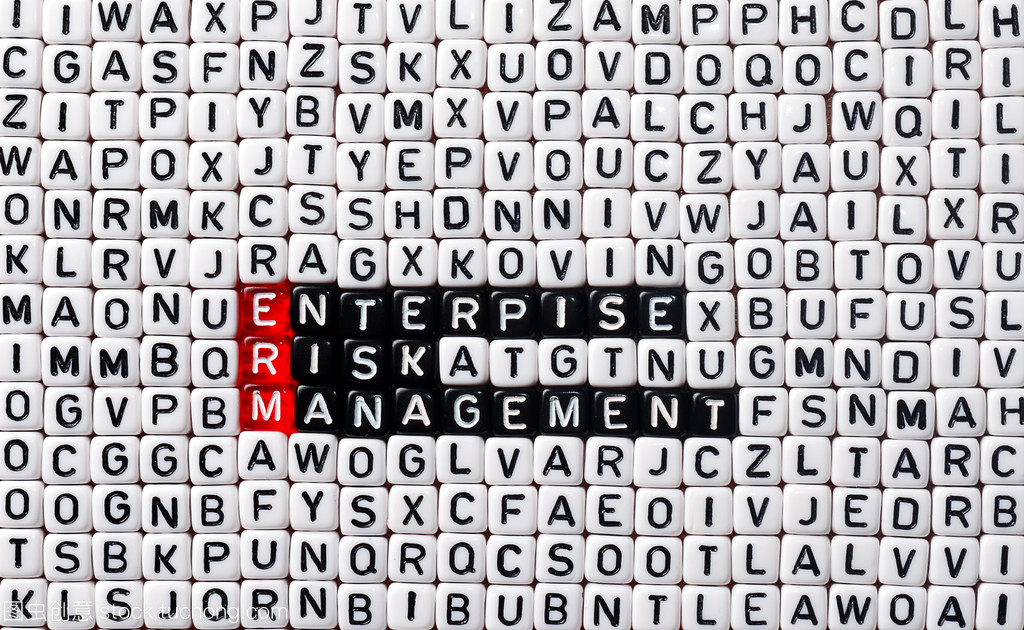 erm 企業風險管理